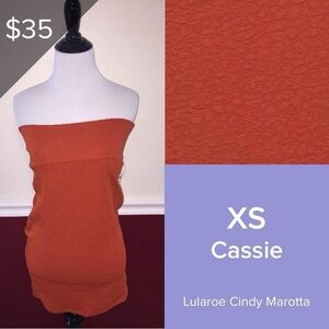 Lularoe Pencil Skirt